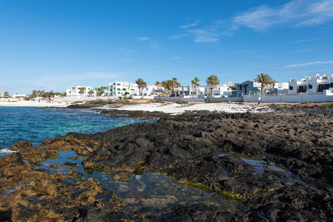 Homeforguest Apartment With Pool And Terrace 1 Min From The Beach Corralejo Eksteriør billede